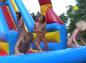 Preview: Waterslide